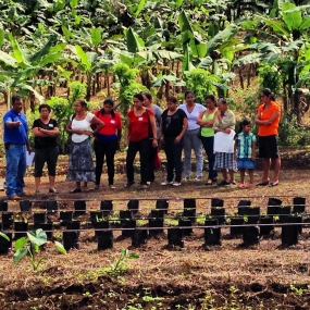 Nicaraguan women learn farming methods.
