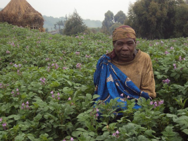 batwa woman in her garden