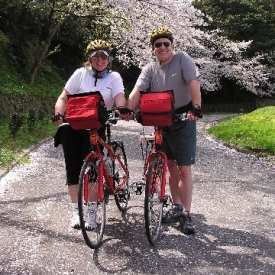 Cherry blossom time in Japan.