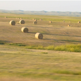 The beauty of South Dakota.