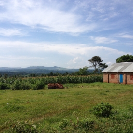 The Ugandan countryside.
