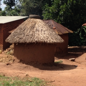 A small Ugandan farm.