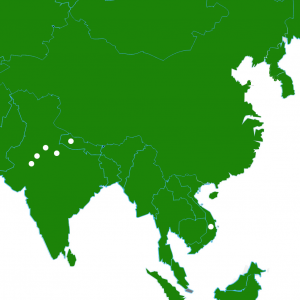 Project Redwood has funded projects in India, Vietnam, and Nepal.