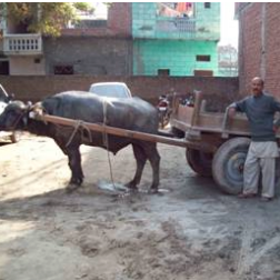 HOPE worldwide\'s program provided a micro-loan for this materials transport business.