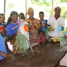 Harvest festival at VHW.