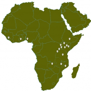 Locations of Project Redwood grantees in Africa.