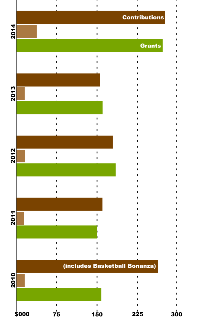 financial bar chart 2014 AR v3