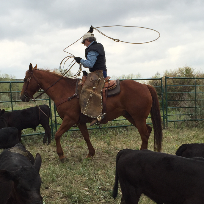 Doug Burgum – Great Plains Purpose and Perspective