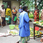 villagehealthworks1to1