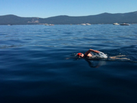 Phil swimming in the Trans Tahoe Swim. Phil