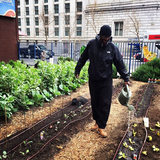 Farming Hope